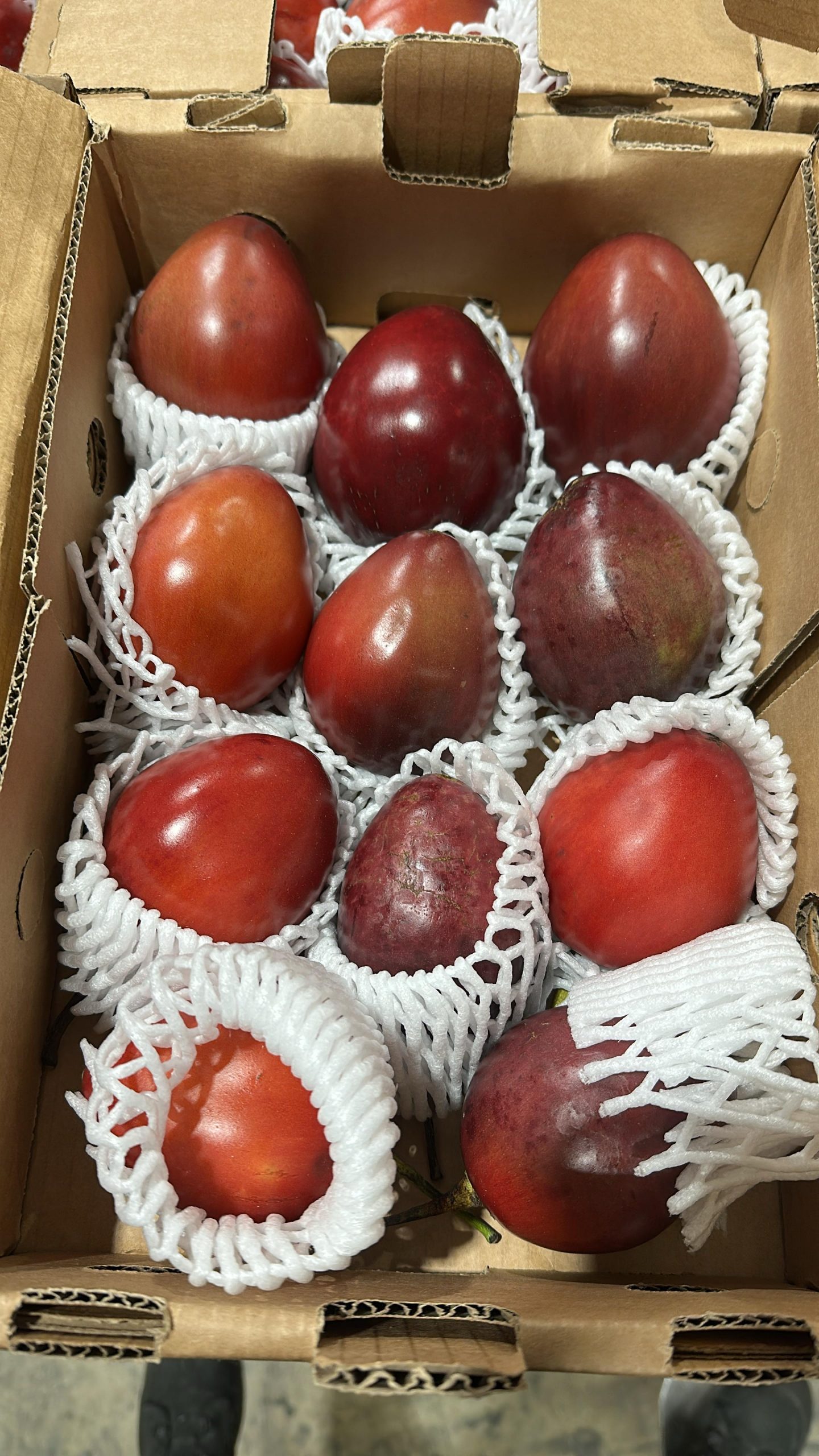Tomate de árbol galería 1