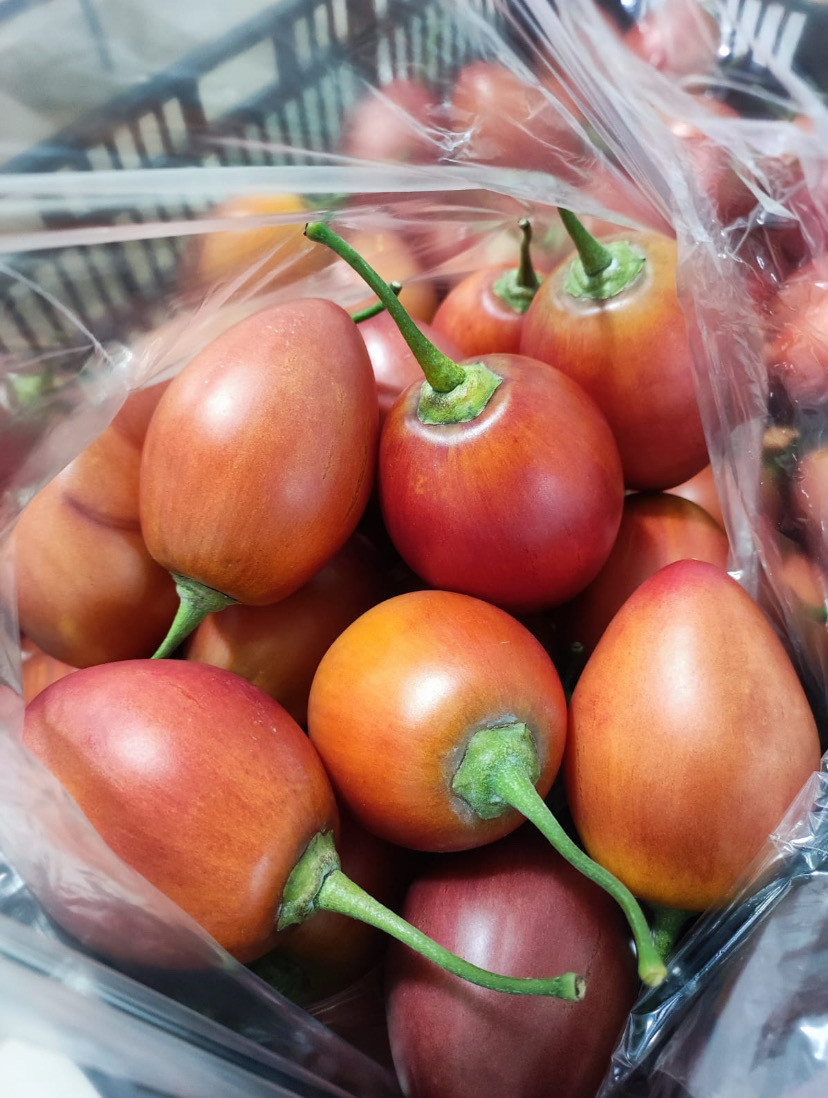 Tomate de árbol galería 4