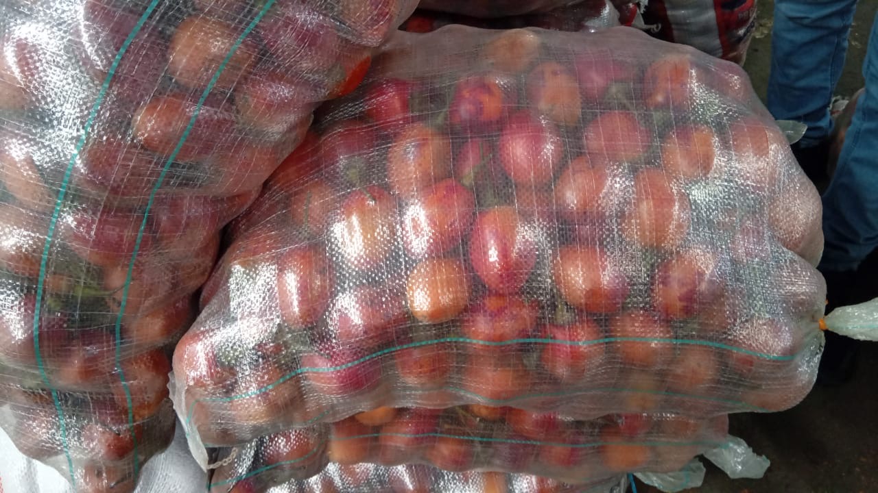 Tomate de árbol galería 2