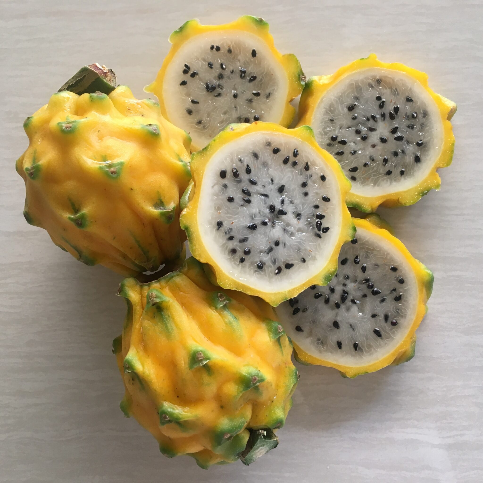 Pitahaya amarilla 1