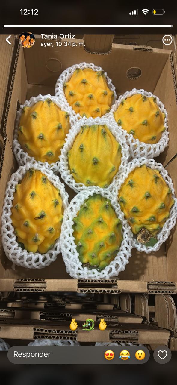Pitahaya amarilla · Ecuador